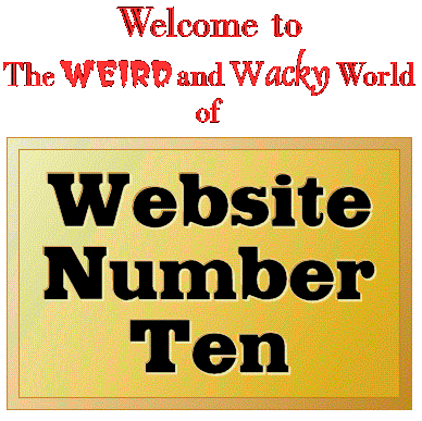 Welcome to the Weird and Wacky World of 
Website Number Ten and